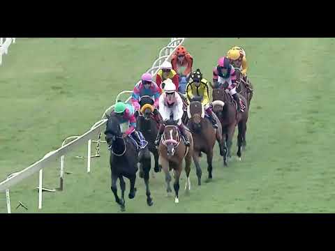 ARLINGTON ACTION - race 2 #turffontein 08 October 2022