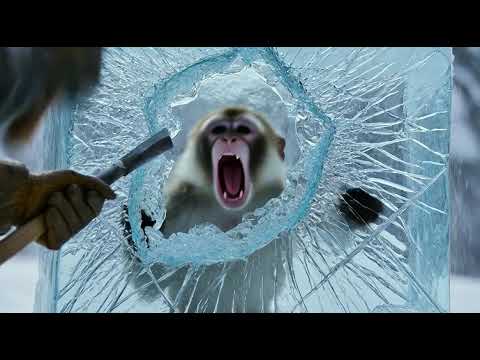 Hero Saves a Frozen Monkey by Breaking Solid Ice in a Snowy American Forest 🧊🐒