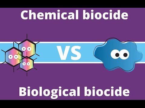 Amoéba - Green Biocide EUR