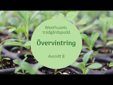 Övervintra växter