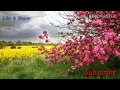 Ab To Bas Ek Hi Dhun Hai Madina Dekhu WhatsApp Status Latest Naat Status