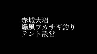 令和2年3月赤城大沼、爆風時のテント設営