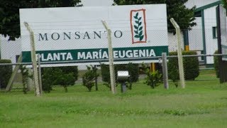Dokumentarfilm: Tödliche Agri Kultur – Wie Monsanto die Welt vergiftet