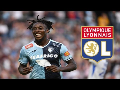 Tino Kadewere ⚫️ Skills, Goals and Assists  🔴🔵Welcome To Lyon