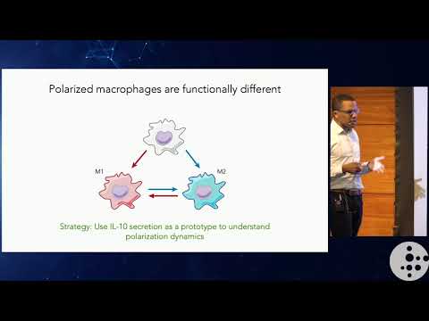 Parametrizing the host pathogen interface in Mycobacterium tuberculosis - Bryan Bryson, Ph.D.