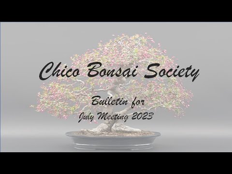 CBS Video Bulletin - July 2023