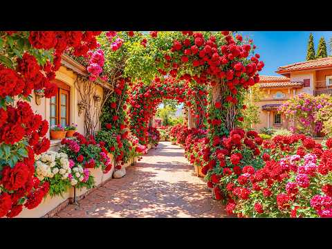 Summer Garden Tour 2026 🏡 Inspirational Garden Designs | The Garden Everyone Have To See This