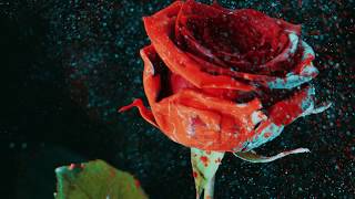 Download lagu Martin Garrix & David Guetta - So Far Away (feat. Jamie Scott & Romy Dya) (Blinders Remix) mp3