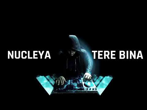 tere bina lyrics | nucleya | oneplus india | new song nucleya tere bina lyrics | whatsapp status |