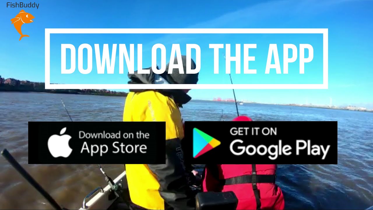 Get The FishBuddy App