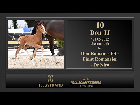 10 Don JJ by Don Romance PS - Fürst Romancier