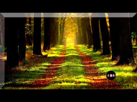 Dark Green Lines  - Ten Towers