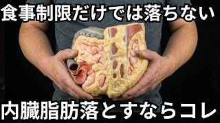【過食が原因じゃない⁉】内臓脂肪が落ちない5つの原因と改善策｜ダイエットがうまくいかない理由｜体脂肪も燃焼｜体重落とす運動｜