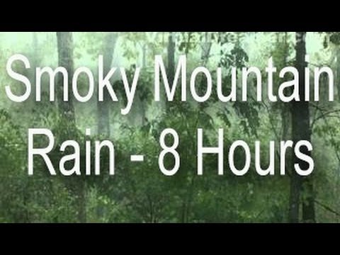 Sound of Rain : Smoky Mountain Rain in Fog - 8 Hours Long