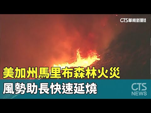 美加州馬里布森林火災　風勢助長快速延燒