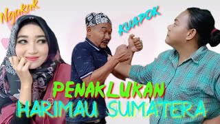 Download lagu #Comedy_Laughs #Atok_Labu CONQUEST OF THE SUMATRAN TIGER mp3