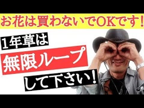 瓶にミントを植える