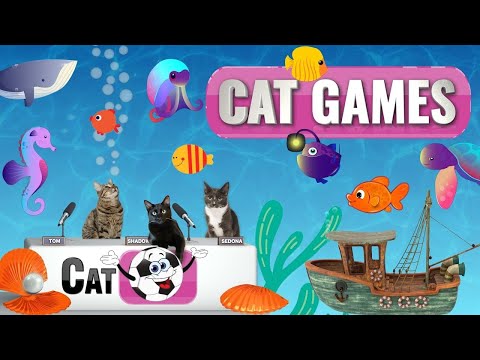 CAT Games | Fish and Bubbles Extravaganza Vol 2! 🐟💦 | Cat TV Compilation Video For Cats to Watch