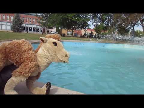 Hump Day at the Fountain