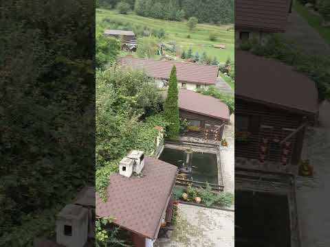 View from Hora cu brazi Zarnesti