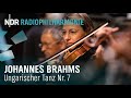 Johannes Brahms: Hungarian Dance No. 7 in F Major with Andrew Manze | NDR Radiophilharmonie