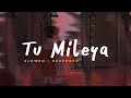Tu Mileya - Darshan Raval || Slowed Reverbed (Lofi Version)