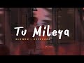 Tu Mileya Darshan Raval Slowed Reverbed Lofi Version
