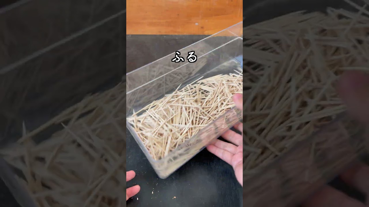 箱の中でつまようじと振ると整うらしい