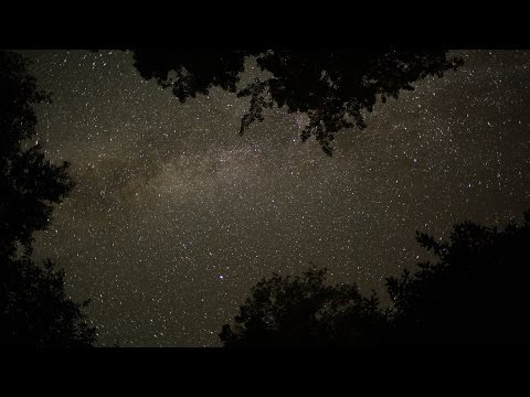 Taylord Media video.