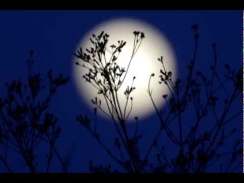 Meditacija punog Mjeseca