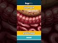 stomach - estómago video thumbnail