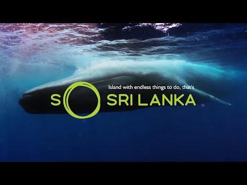 Love Sri Lanka l Wild Guides l  See Sri Lanka from a local’s perspective l SLTDA