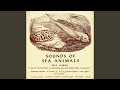 Sea Animals - Manatee with Narration