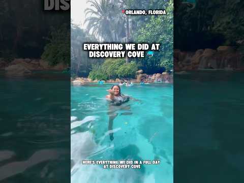 Discovery Cove- Everything We Did!  #discoverycove #seaworld #thingstodoinorlando #allinclusive