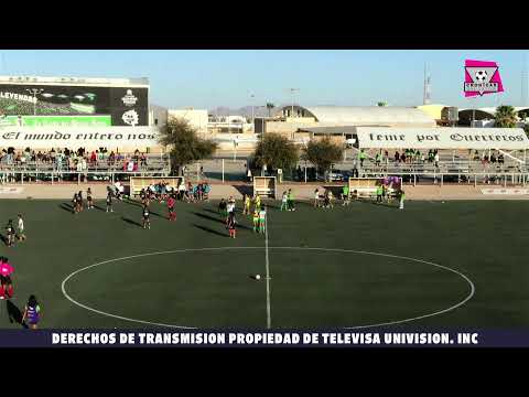 Santos vs San Luis Sub 19 Femenil
