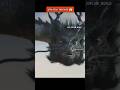 Dragon King Loved This Girl Orexplainworld Cdrama Youtubeshorts Shorts Dragon Dramaclips