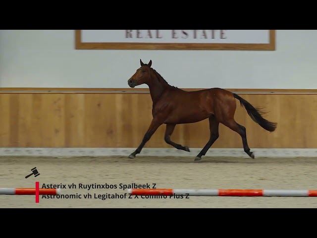Asterix v/h Ruytinxbos Spalbeek Z