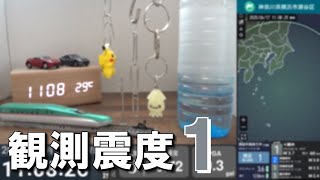 2025/6/17 11:07 房総半島南方沖(M4.0) 震度1　横浜市瀬谷区