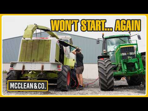 We Fixed It… But Clyde’s Grass Is the Real Test - Part 12