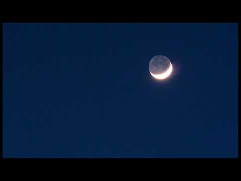 CSI - Campestre (live 1996)