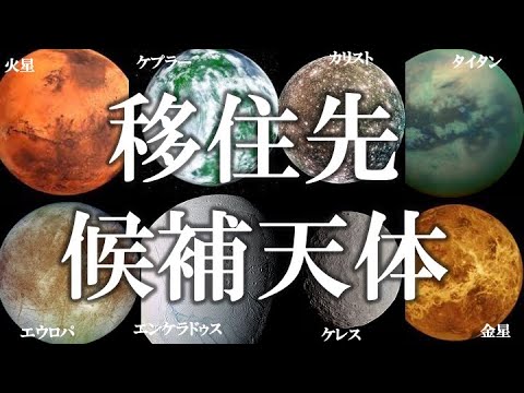火星: 地球外生命体を探す - この珍しいクモが役に立つかもしれない