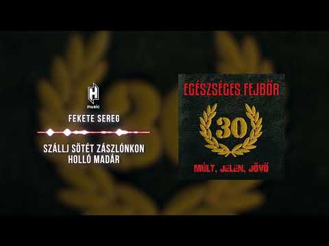 Egészséges Fejbőr - Fekete sereg (Hivatalos szöveges video / Official lyric video)
