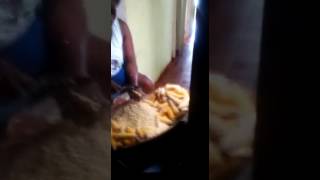 Ercilla y el  maíz en Lloró