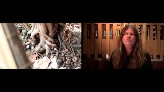 Mattias IA Eklundh (Freak Kitchen) - 2012 Interview, Caparison Guitars