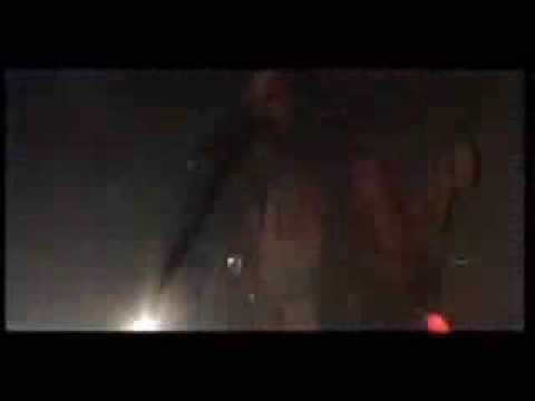 Broilers weg von den Straßen live