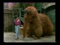 Sesame Street Snuffleupatale Theater