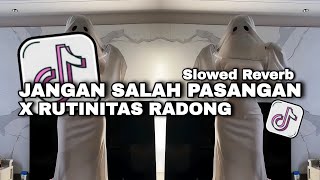 Download lagu DJ JANGAN SALAH PASANGAN X RUTINITAS RADONG X STARLIGHT [SLOWED REVERB] mp3
