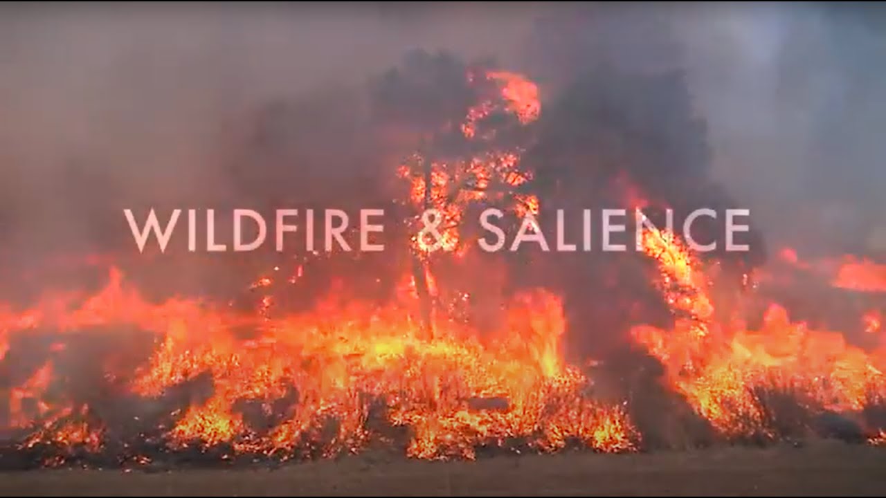 Wildfire & Salience