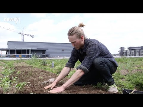 Dream Jobs: Urban Farmer