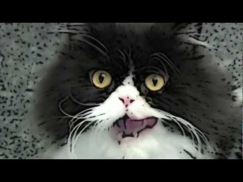 Chris Hein - Horns Pro Tutorial 16 "Micro-Tuner"